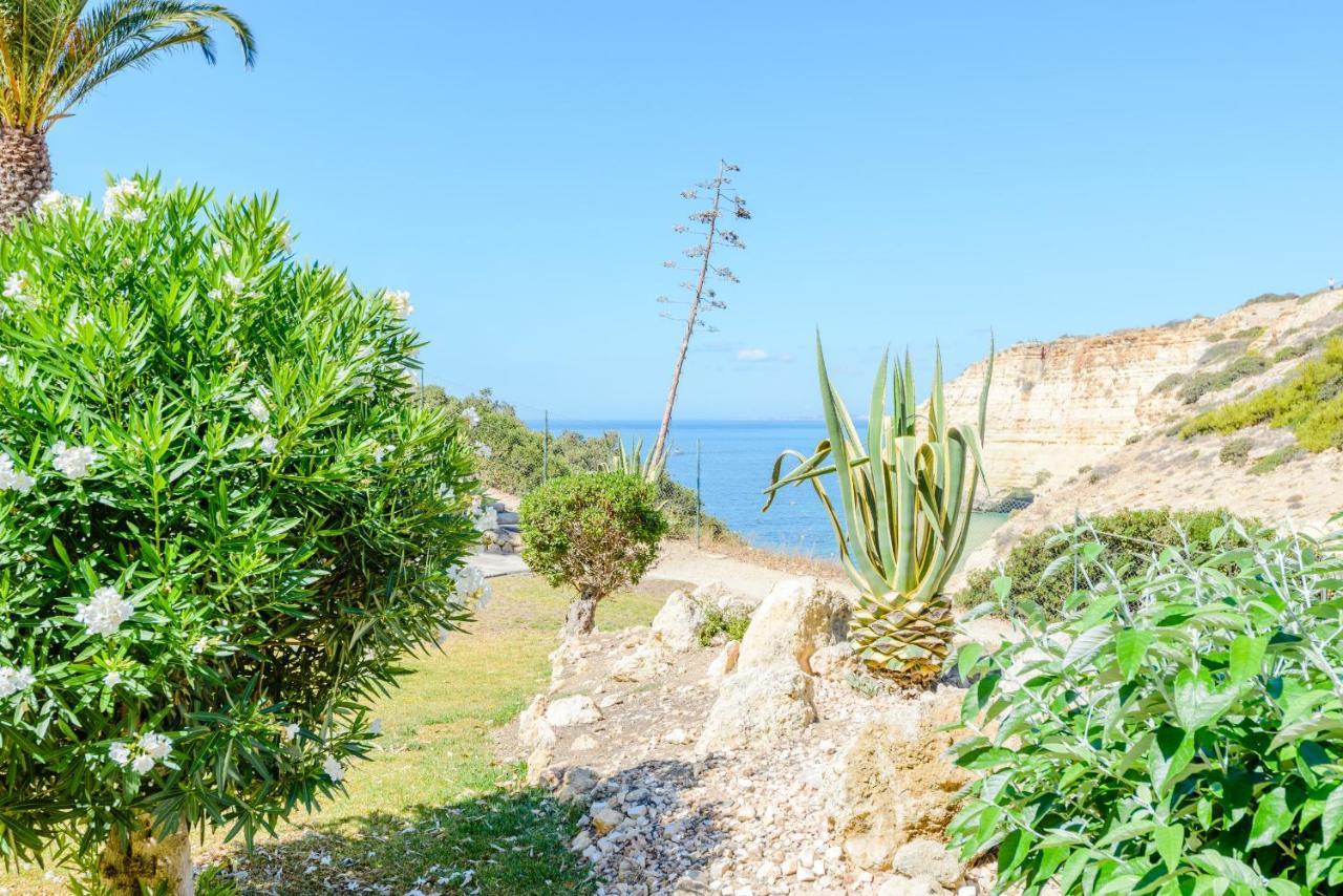 The Little Paradise With Sea Views Carvoeiro  Exterior foto